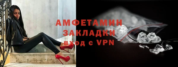прущие грибы Балабаново