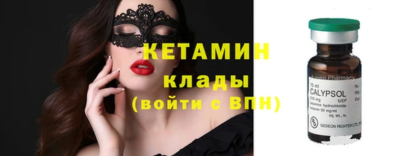 прущие грибы Балабаново