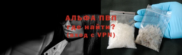 прущие грибы Балабаново