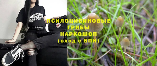 прущие грибы Балабаново