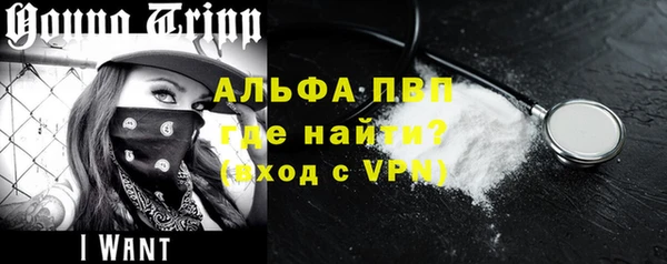 прущие грибы Балабаново